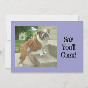 English Bulldog Party Invitations