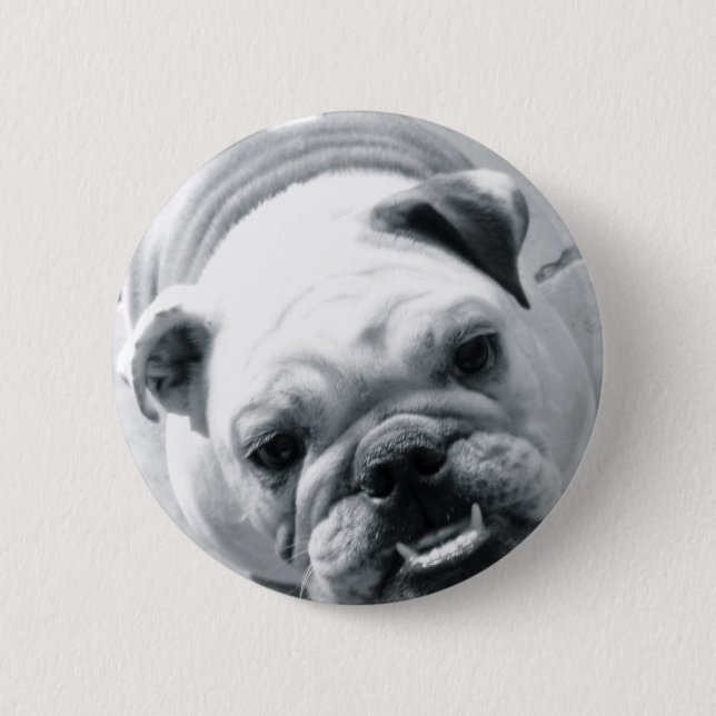 English Bulldog Pinback Button (Front)