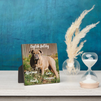 English Bulldog Plaque with Easel