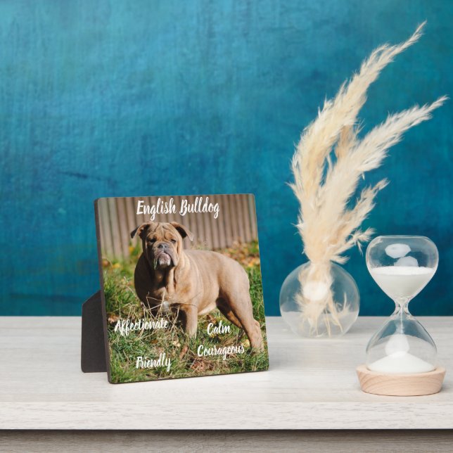 English Bulldog Plaque with Easel (Insitu)
