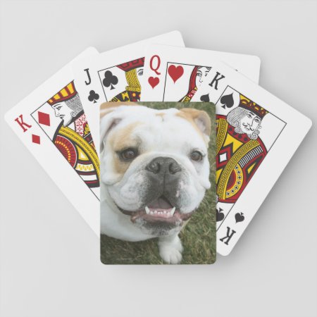 English Bulldog Playing Cards