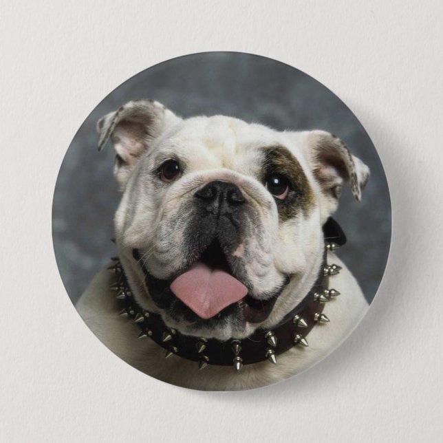 English Bulldog Portrait Photo Round Button (Front)