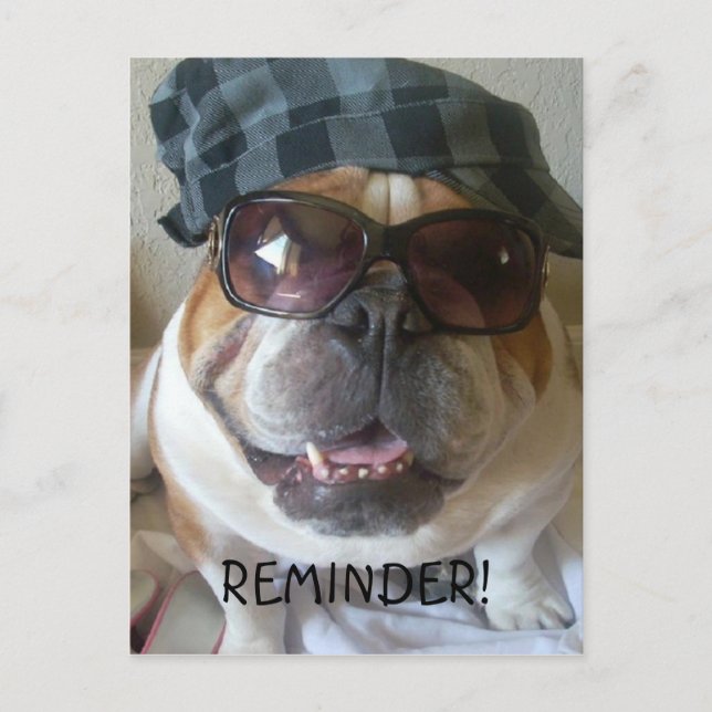 English Bulldog postcard reminder (Front)