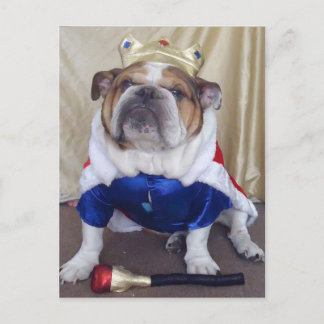 English Bulldog Postcards