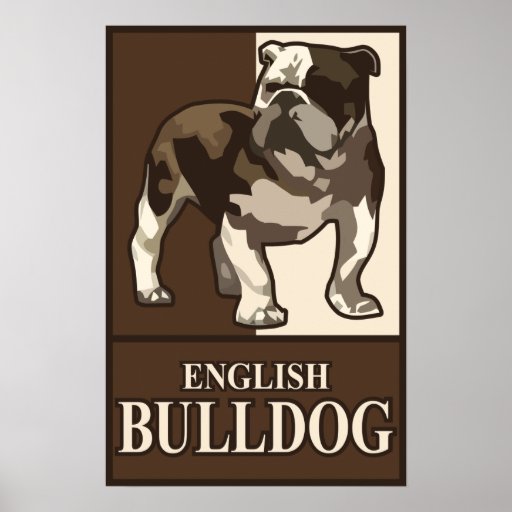 English Bulldog Poster | Zazzle