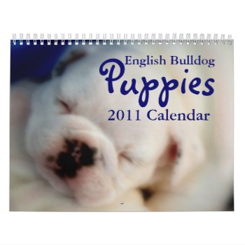 English Bulldog Puppies 2011 Calendar by time2see at Zazzle