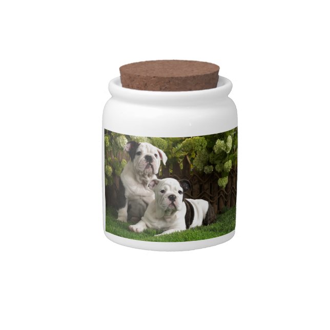 English Bulldog Puppies Candy Jar (Front)