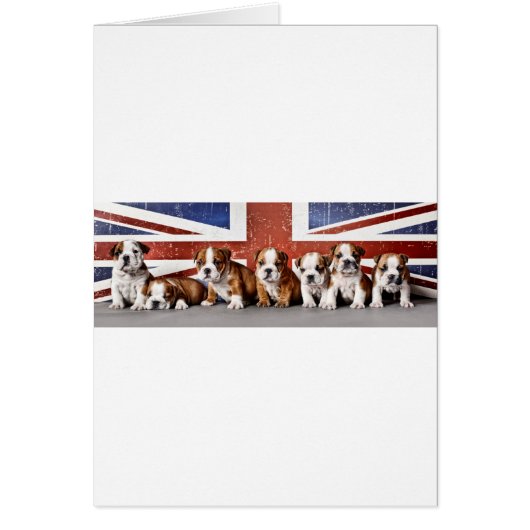 English bulldog puppies cards (Front)