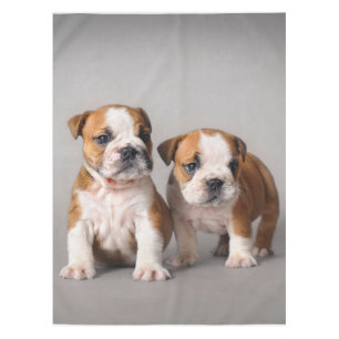English Bulldog Puppies Couple Cute Bulldog Tablecloth