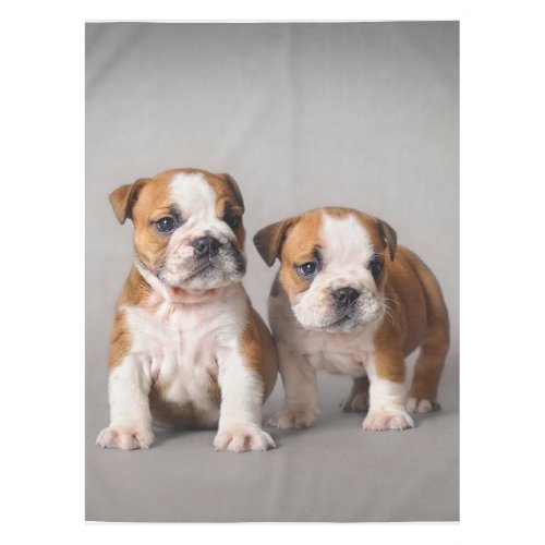 English Bulldog Puppies  Couple Cute Bulldog Tablecloth