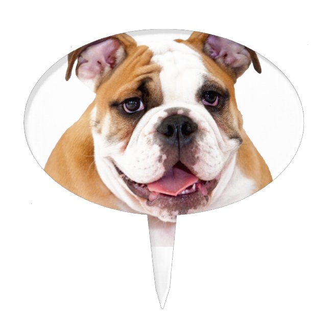 English Bulldog Puppy Cake Topper (Front)