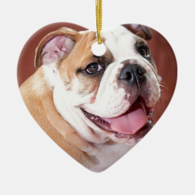 English Bulldog Puppy Ceramic Ornament (Front)