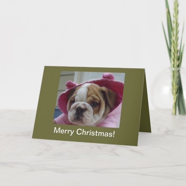 English Bulldog Puppy Christmas Cards (Front)