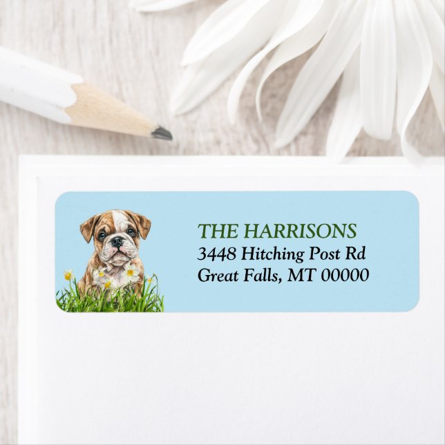 English Bulldog Puppy Daffodil Garden Label (Insitu)