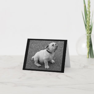 English Bulldog Puppy Dog Blank Greeting Note Card