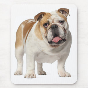 English Bulldog Puppy Dog Canine Mousepad