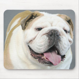 English Bulldog Puppy Dog Canine Mousepad