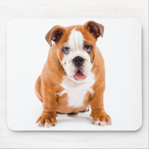 English Bulldog Puppy Dog Mousepad