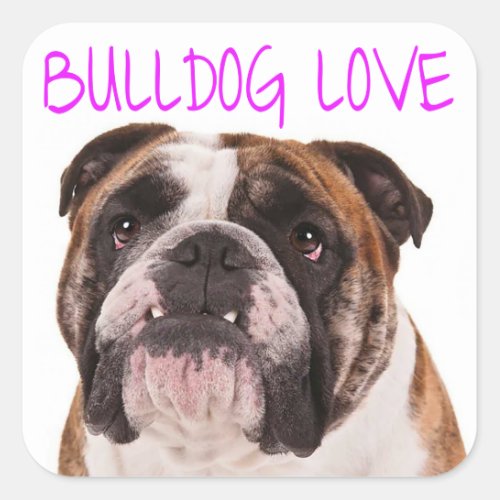 English Bulldog Puppy Dog Purple Love Square Sticker