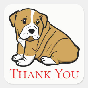 Thank You Bulldog Stickers | Zazzle