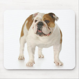 English Bulldog Puppy Dogs Mousepad