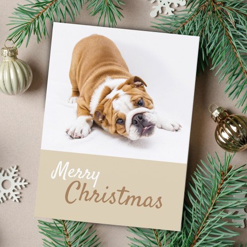 English Bulldog Puppy Photo Christmas Custom Holiday Postcard