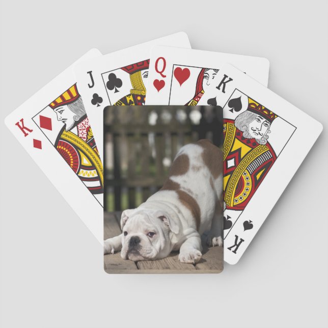 English Bulldog Puppy Poker Cards (Back)