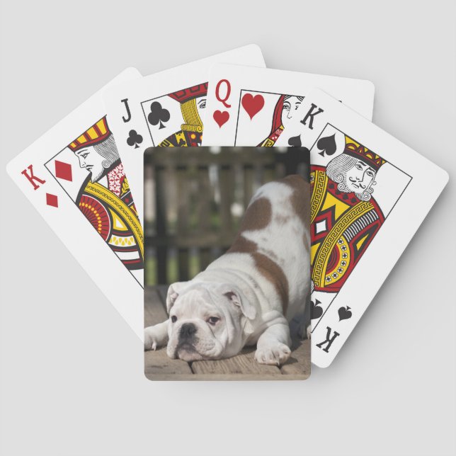 English Bulldog Puppy Poker Cards (Back)