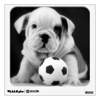 English Bulldog Puppy W/soccer Ball Wall Sticker by time2see at Zazzle