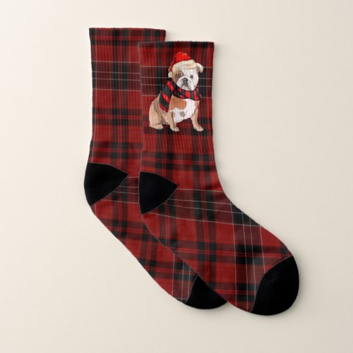 English Bulldog Red Plaid Dog Lovers Holiday Socks