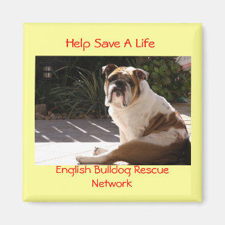 English Bulldog Rescue Network - Customized Magnet