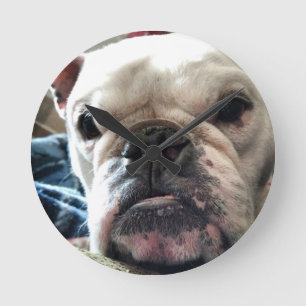 English Bulldog Round Clock