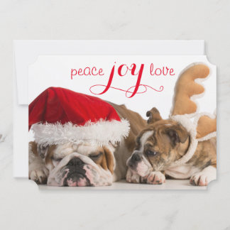 English Bulldog Santa And Reindeer Holiday Card