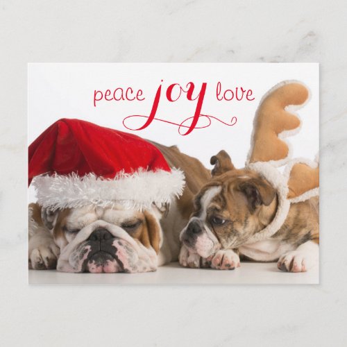 English Bulldog Santa And Reindeer Holiday Postcard