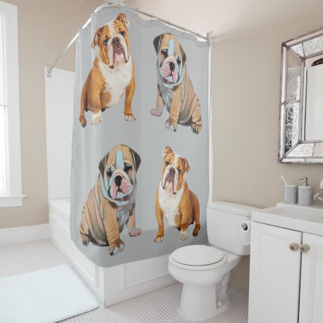 English Bulldog Shower Curtain (In Situ)