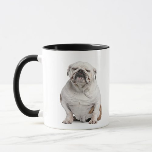 English Bulldog sitting in front of white Mug
