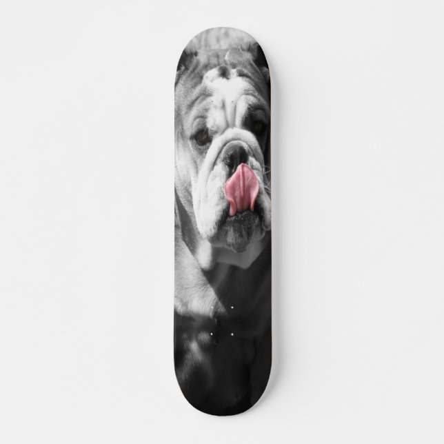 english bulldog skateboard (Front)