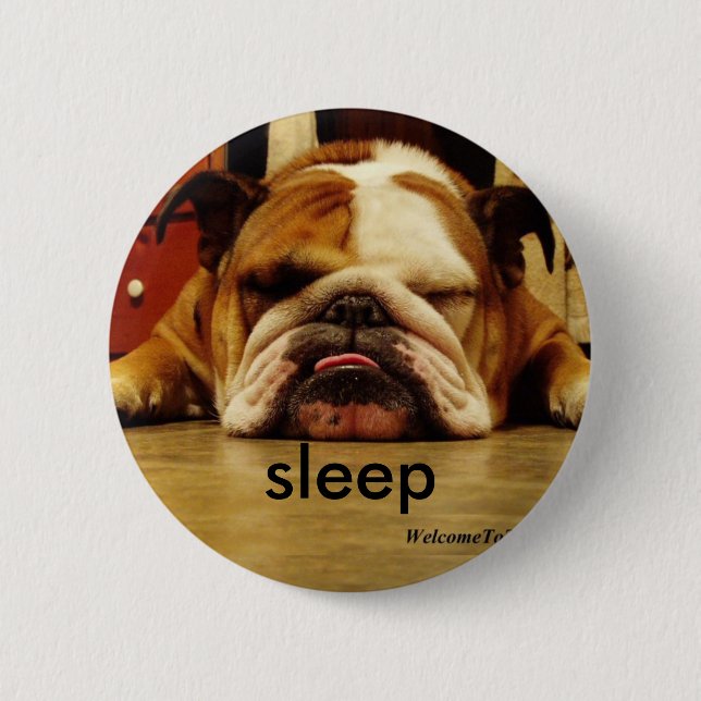 english-bulldog, sleep pinback button (Front)