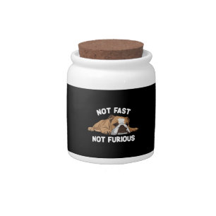 English Bulldog Sleeping Not Fast Not Furious Funn Candy Jar