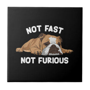 English Bulldog Sleeping Not Fast Not Furious Funn Ceramic Tile