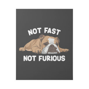 English Bulldog Sleeping Not Fast Not Furious Funn Gallery Wrap