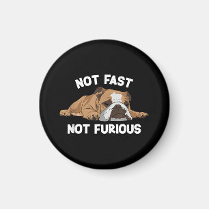 English Bulldog Sleeping Not Fast Not Furious Funn Magnet