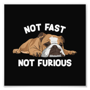 English Bulldog Sleeping Not Fast Not Furious Funn Photo Print