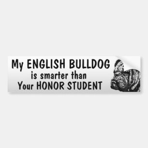 English Bulldog - Smarter than student - funny Bumper Sticker