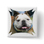 English Bulldog Square Pin