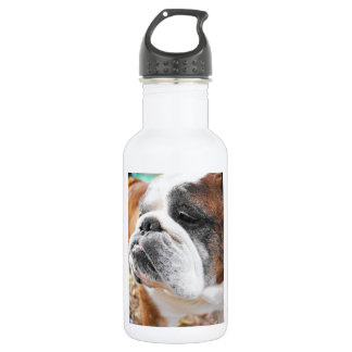 English Bulldog Stainless Steel Water Bottle