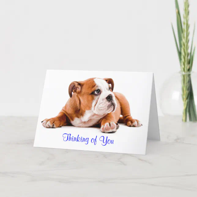 English Bulldog Thinking Of You Card Verse Inside 