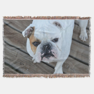 English Bulldog throw blanket