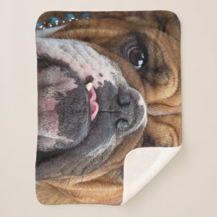 English Bulldog Throw Pillow