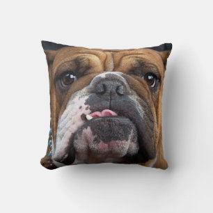 English Bulldog  Throw Pillow